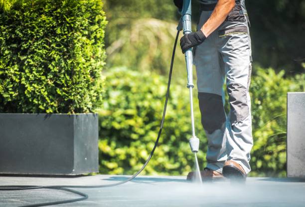 Best Sidewalk and Walkway Cleaning  in Murillo, TX