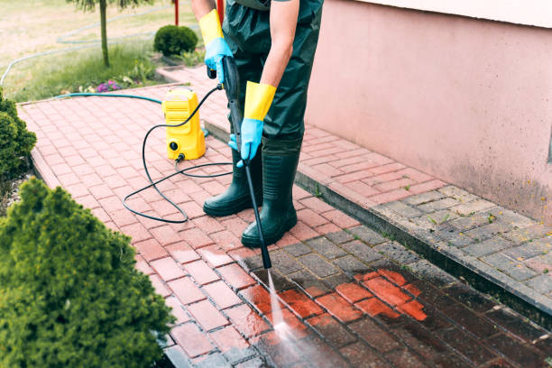 Best Building Exterior Washing  in Murillo, TX