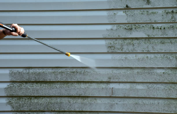 Best Dumpster Area Cleaning  in Murillo, TX