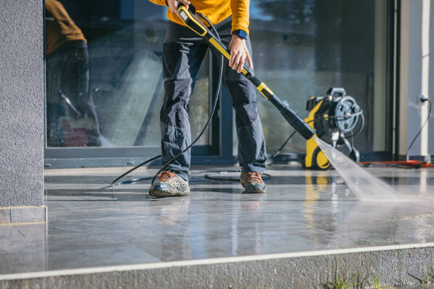 Animal Enclosure Cleaning in Murillo, TX