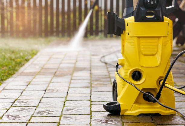 Best Solar Panel Cleaning  in Murillo, TX
